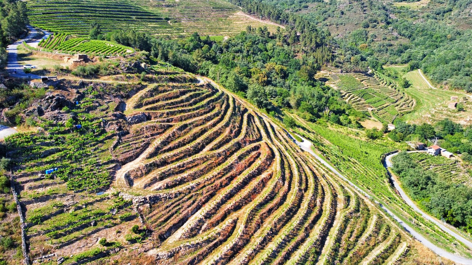 mirador-amandi-viñedos-ribeira-sacra